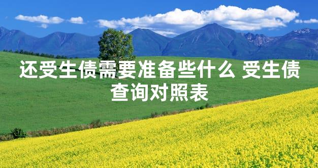 还受生债需要准备些什么 受生债查询对照表
